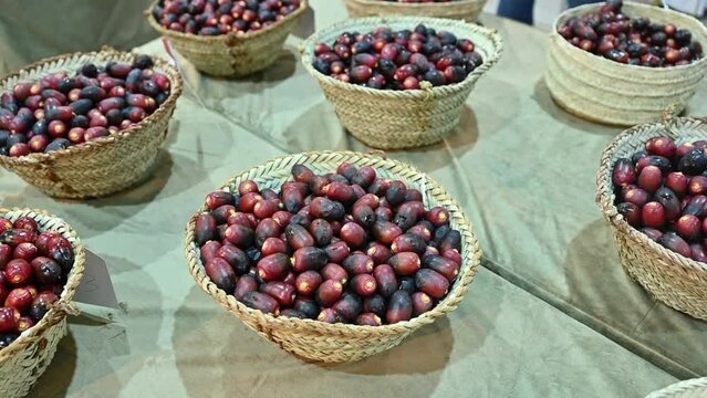 Different varieties of Fresh Emirati Dates are displayed during the Dates Festival in the United Arab Emirates.