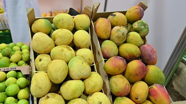 Varieties of Fresh Emirati Mangos are displayed during the food Festival in the United Arab Emirates.