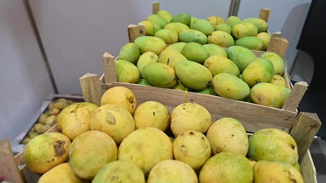 Varieties of Fresh Emirati Mangos are displayed during the food Festival in the United Arab Emirates.