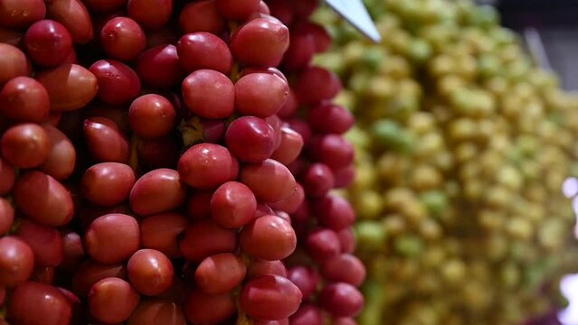 Fresh Emirati Dates displayed during the Dates Festival in the United Arab Emirates