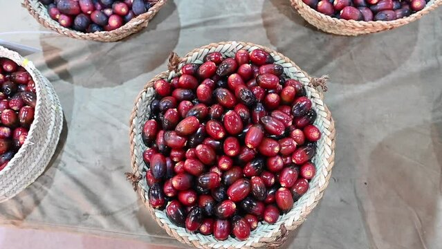 Fresh Emirati Dates are displayed during the Dates Festival in the United Arab Emirates