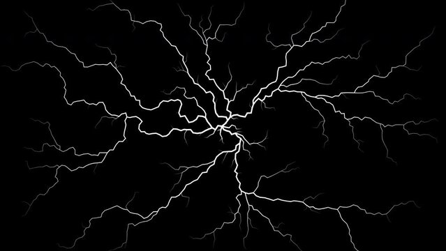 Growing tree roots or veins. Lightning bolt, lines growth. Motion background