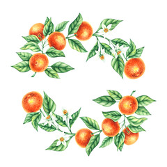 Watercolor tangerine round hand drawn wreath