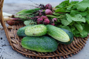 Harvest from the garden collected in a basket.
