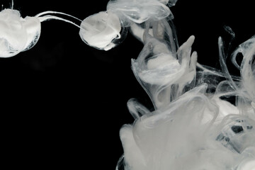 Abstract paint splash isolated on black background. Acrylic ink in water. selective focus.