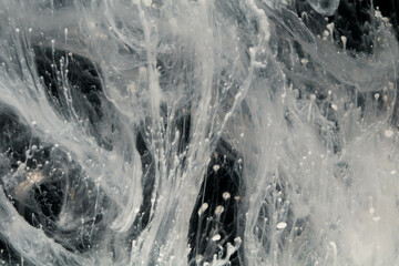 Abstract paint splash isolated on black background. Acrylic ink in water. selective focus.