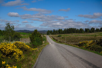 Fototapeta premium 2023-06-05 A LONG COUNTRY ROAD LINES WITH LOCAL FOLIAGE AND NICE BLUE SKY WITH CLOUDS OUTSIDE OF LAIRG SCOTLAND