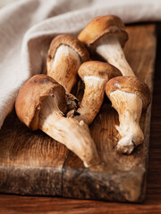 mushrooms on a wooden background