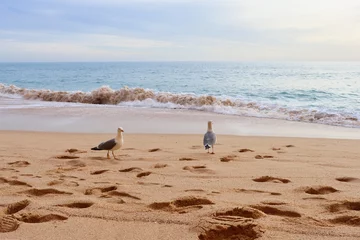 Photo sur Plexiglas Plage de Marinha, Algarve, Portugal Two birds walking on a sandy beach in front of the ocean on a sunny afternoon in southern Portugal along the Seven Hanging Valleys Trail.