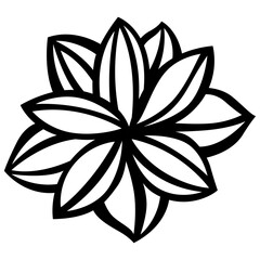 black and white flower