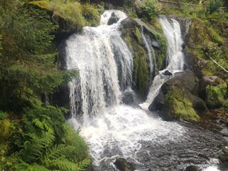 Obraz premium waterfall in the forest