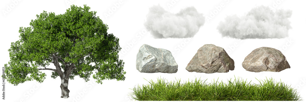 Poster isolate nature jungle element collections pack on transparent backgrounds 3d rendering png