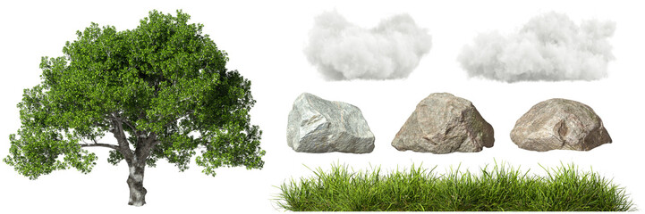 Isolate nature jungle element collections pack on transparent backgrounds 3d rendering png
