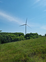 Fototapeta premium It is a farm with wind turbines.