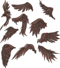 collection of eagle wings vector