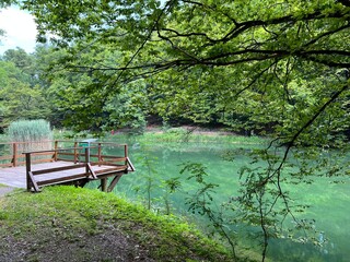 Fototapeta na wymiar Artificial lakes in a Park forest Jankovac - Papuk nature park, Croatia (Umjetna jezera u Park šumi Jankovac - Park prirode Papuk, Hrvatska)