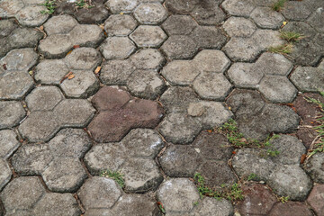 not focus on paving with green moss.
