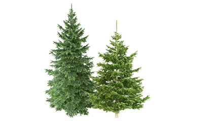christmas tree isolated on white background