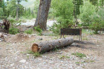 Close-up of a brazier and a log in the forest. Active rest, hiking in the Altai Mountains. 