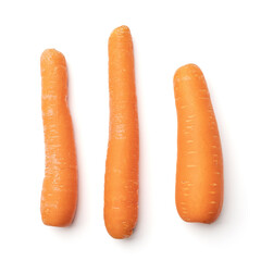 Ripe carrot on white