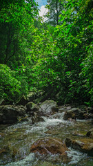 There is a small river under the waterfall.