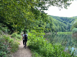 Walking and hiking trails in the forest park Jankovac or Count's educational trail in Jankovac -...