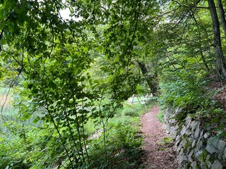 Walking and hiking trails in the forest park Jankovac or Count's educational trail in Jankovac - Papuk nature park, Croatia (Grofova poučna staza na Jankovcu - Park prirode Papuk, Hrvatska)