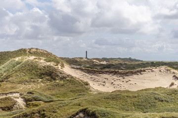 Fototapeta na wymiar Dünenlandschaft auf Norderney