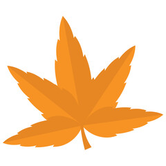 Autumn Leaves Elements