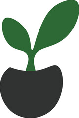 Little Plant in The Pot