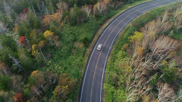 知床峠を走る車の空撮 | 北海道