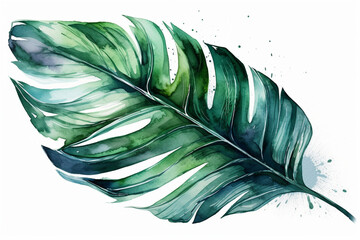 Striking watercolor green large palm leaf on a white background, Leaves Watercolor, 
