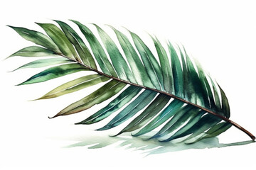 Serene composition of a watercolor green large palm leaf against a white background, Leaves Watercolor, 