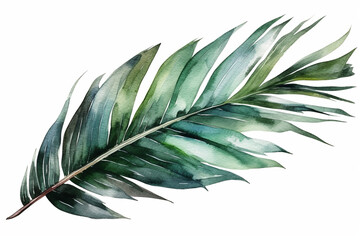 Serene composition of a watercolor green large palm leaf against a white background, Leaves Watercolor, 