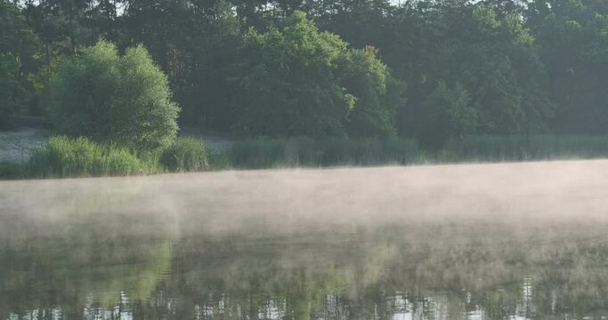 Steam evaporation on water surface, green trees, forest, reflection. Morning lake, pond, tranquility.
