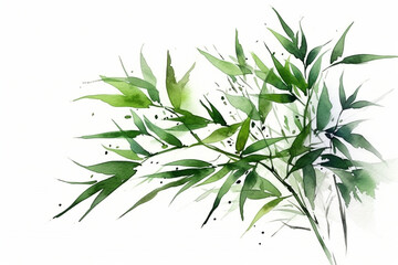 Serene composition of watercolor green bamboo leaves against a white background, Leaves Watercolor, 