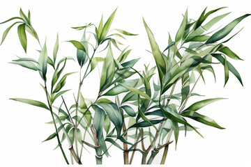 Whimsical arrangement of watercolor green bamboo shoots on a pristine white background, Leaves Watercolor, 