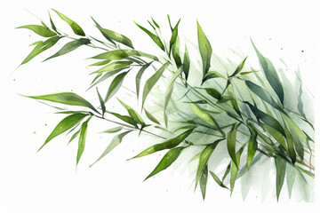 Fototapeta na wymiar Captivating watercolor green bamboo leaves standing out on a clean white background, Leaves Watercolor, 