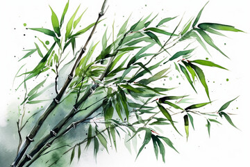Fototapeta na wymiar Captivating watercolor green bamboo leaves standing out on a clean white background, Leaves Watercolor, 