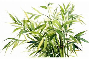 Whimsical arrangement of watercolor green bamboo shoots on a pristine white background, Leaves Watercolor, 