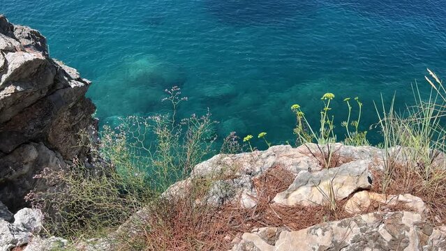 Sea blue turquoise waters and wild flowers and herbs on coastal rocks.