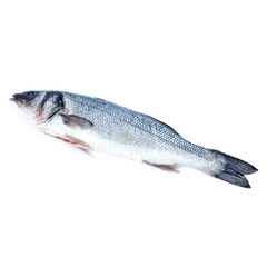 Naklejka premium Sea bass on a white background