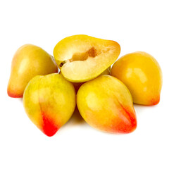 Plum Duck on white background
