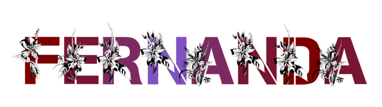 Woman's name Fernanda. Font composition named FERNANDA. Decorative floral font. Typography in the style of art nouveau, modern, vintage.	

