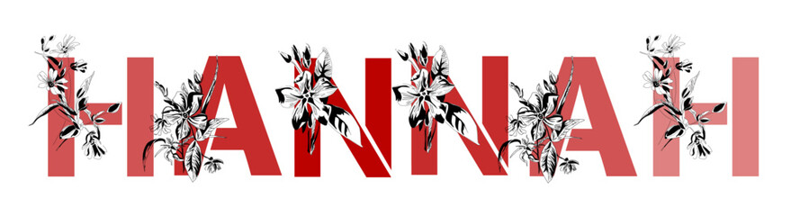 Woman's name Hannah. Font composition named Hannah. Decorative floral font. Typography in the style of art nouveau, modern, vintage.	
