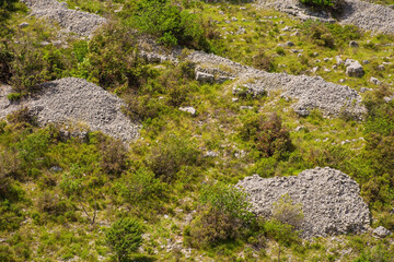 Fototapeta na wymiar The rural landscape near Dracevica on Brac Island in Croatia in May, showing the island's characteristic stone mounds and walls