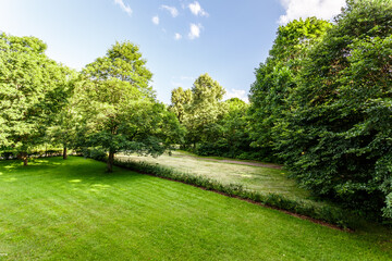 Picture of field in nature