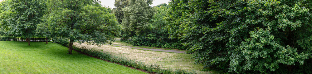 Picture of field in nature