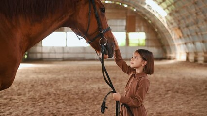 View from the side, touching head of animal. Cute little girl is with horse indoors.