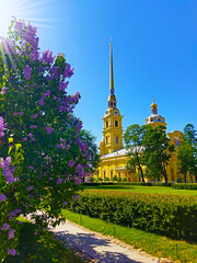 Saints Peter and Paul Cathedral Orthodox church in St. Petersburg, Russia. Summer view of Russian historical building against blue sky.